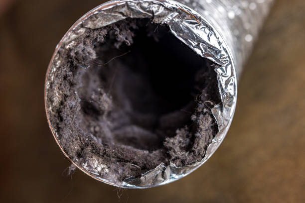 Best HVAC Air Duct Cleaning  in Butler Beach, FL