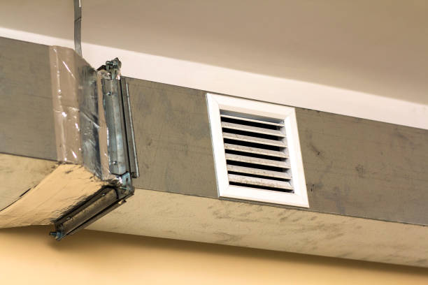 Air Duct Mold Removal in Butler Beach, FL